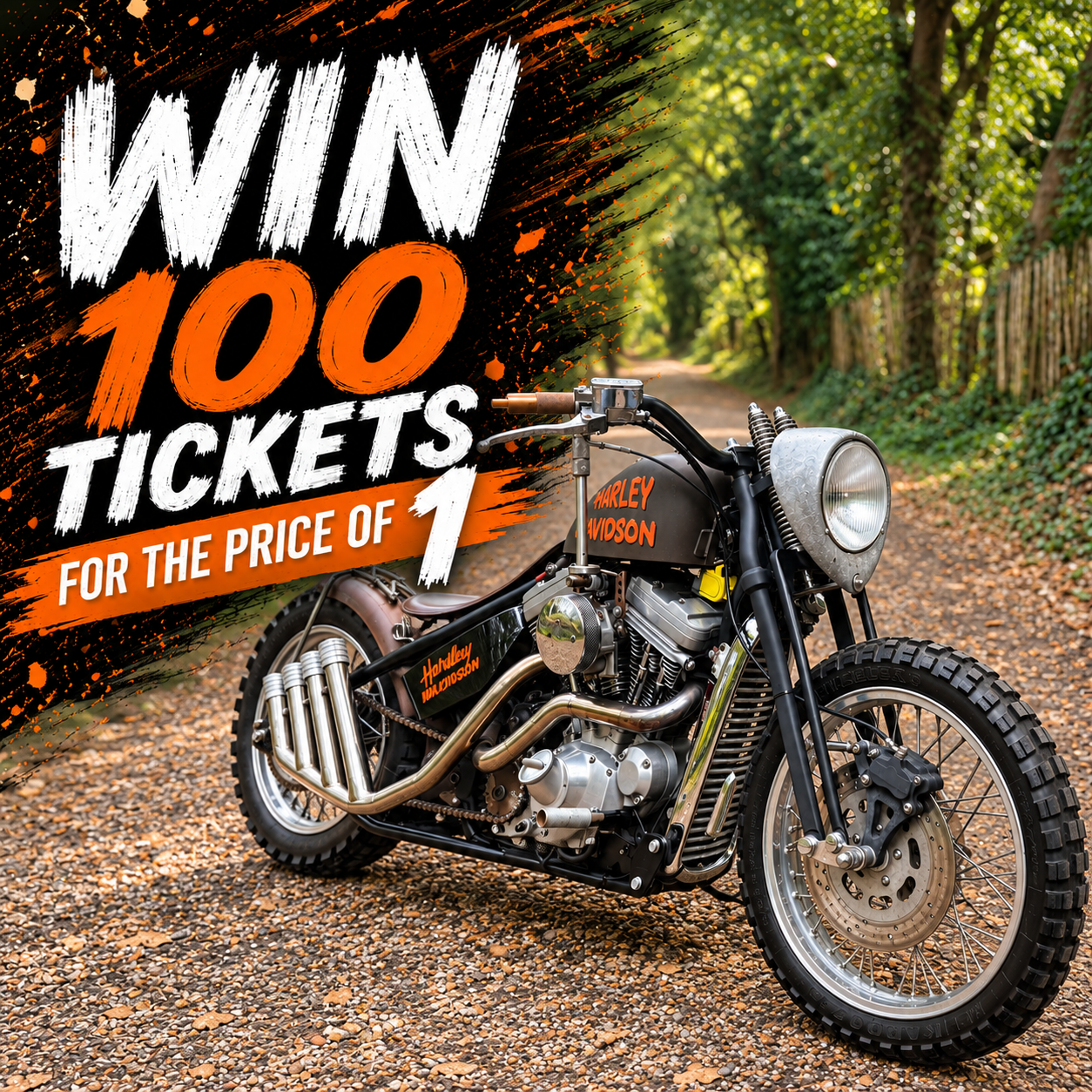 WIN - 100 Entries to win the Custom Harley XL1200 Bobber