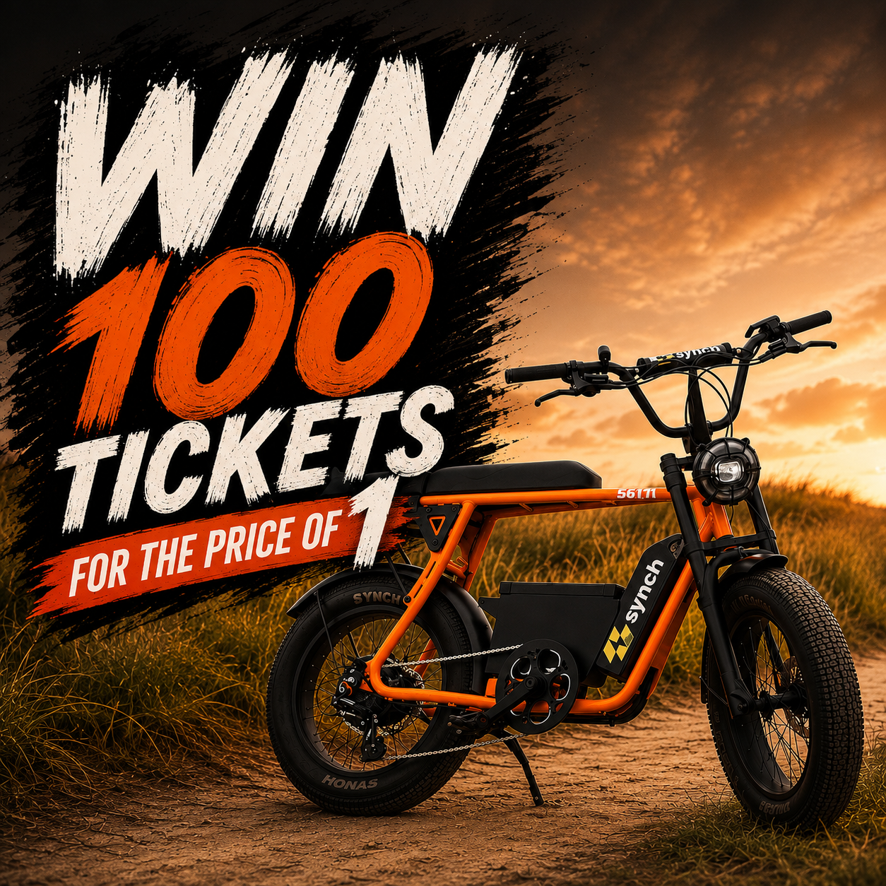 WIN - 100 Entries to WIN the Synch E-bike