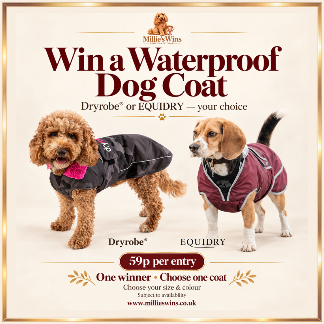 Win a Waterproof Dog Coat - Choose from a Dryrobe® or EQUIDRY