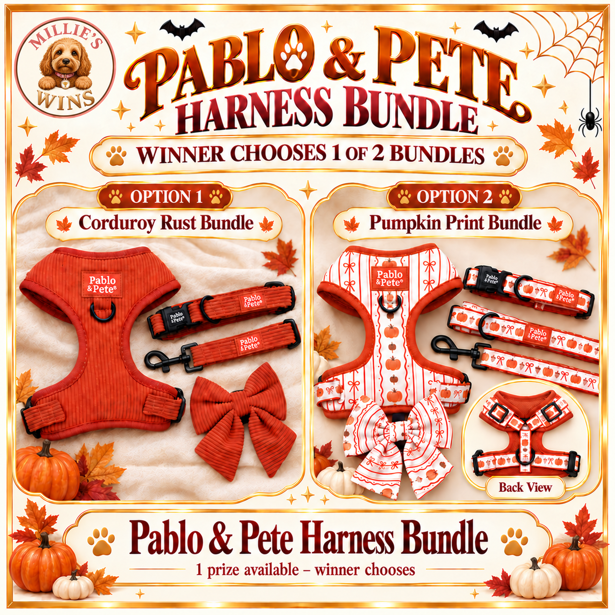 Autumnal Dog Harness Bundle