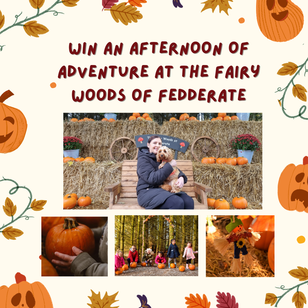 Win Family Tickets (2 x adults, 2 x children) to enjoy an afternoon at the Fairy Woods of Fedderate Estate