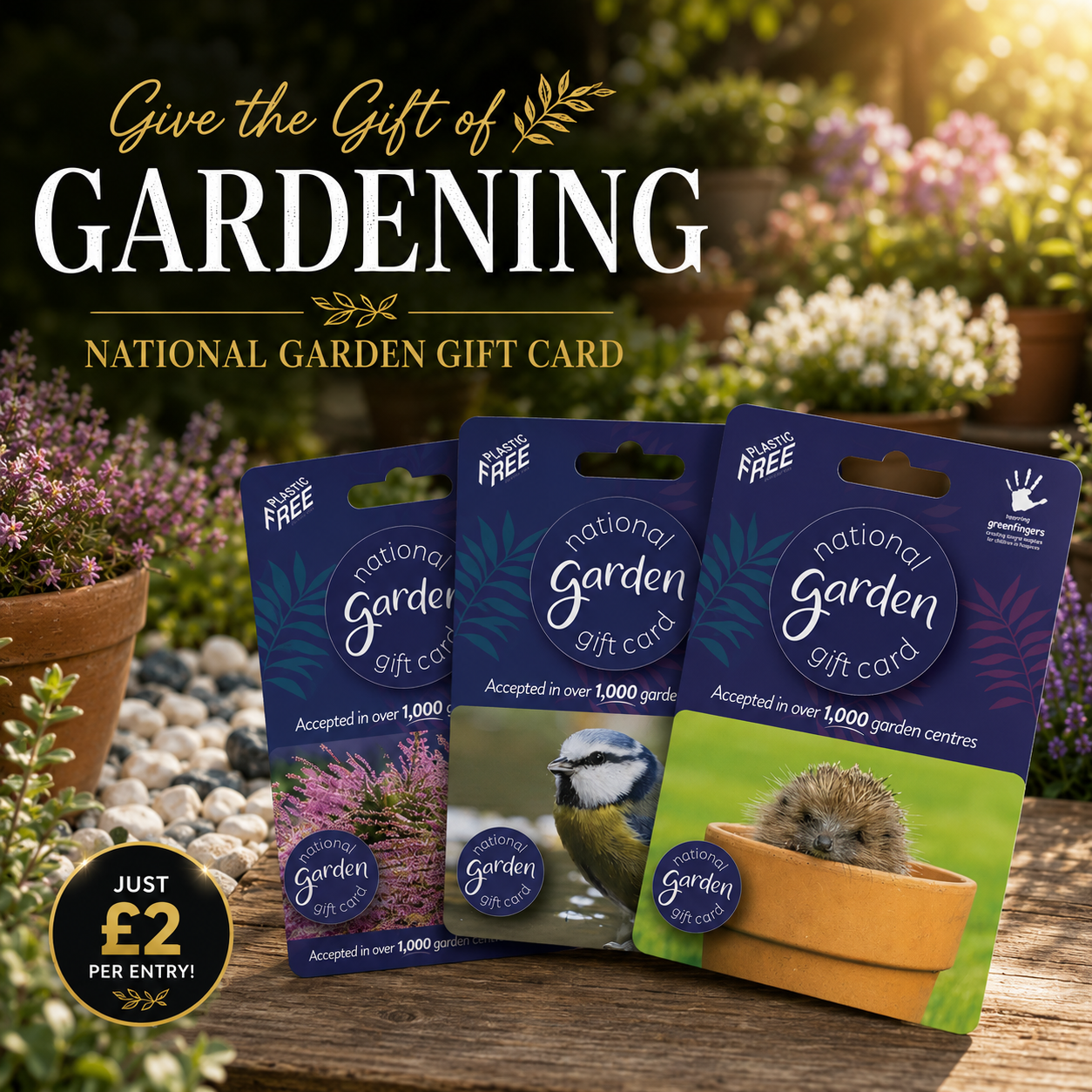 Win an £80 National Garden Gift Card!