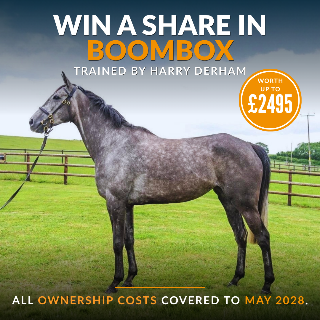 🏇 WIN A SHARE IN BOOMBOX - WORTH UP TO £2,495